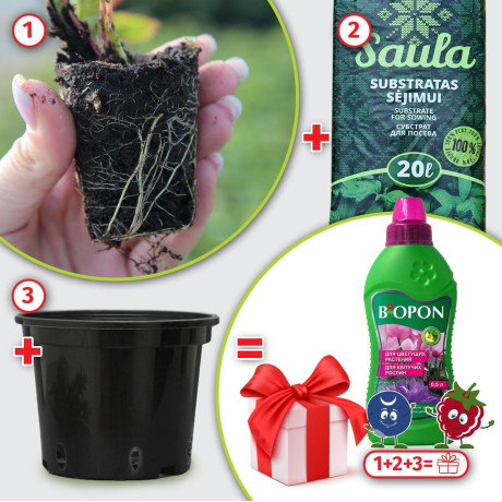 Набір товарів №8. Подарунок: Мінеральне добриво Biopon, 500 мл