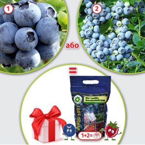 Набір товарів №9. Подарунок: Добриво для лохини Ogrod 2001 (2 кг)