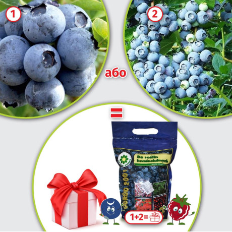 Набір товарів №9. Подарунок: Добриво для лохини Ogrod 2001 (2 кг)