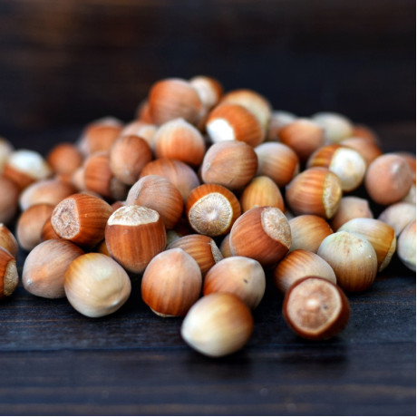 Фундук сорт Обильный Фундук сорт Обильный