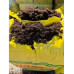 Верховой торф "Lith Peat" 3.5-4.5 pH, фр. 0-20 мм, 250 л (Rėkyva)