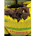 Верховой торф "Lith Peat" 3.5-4.5 pH, фр. 0-10 мм, 250 л (Rėkyva)