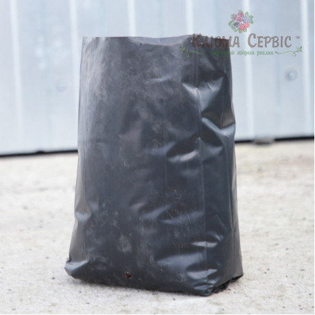 Пакет для саджанців і розсади розмір 12x25. 1.6 л 