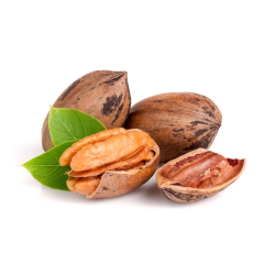 Саженцы ореха пекан купить в Украине Саженцы ореха пекан купить в Украине