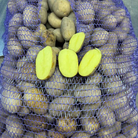 Семенной картофель Карелия, 90-110 дней, 2 репродукция