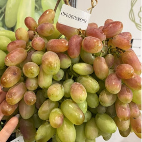 Виноград сорт Перетворення, напівупакований