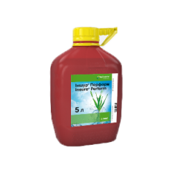 Протруйники Протруйники