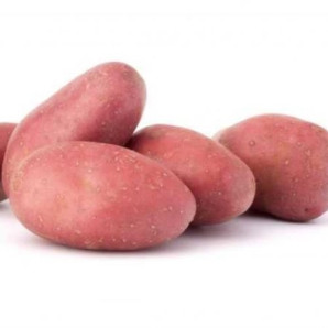 Семенной картофель Ред Соня, 50-65 дней, 2 репродукция Семенной картофель Ред Соня, 50-65 дней, 2 репродукция