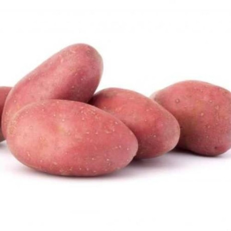 Семенной картофель Ред Соня, 50-65 дней, 2 репродукция