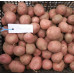 Семенной картофель Ред Соня, 50-65 дней, 2 репродукция
