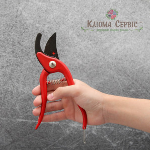  Секатор з впертой пружиною (малий)