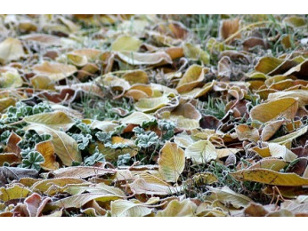 10 важнейших дел, которые нужно успеть сделать до морозов