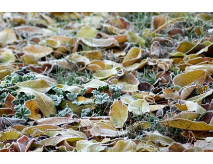 10 важнейших дел, которые нужно успеть сделать до морозов 10 важнейших дел, которые нужно успеть сделать до морозов