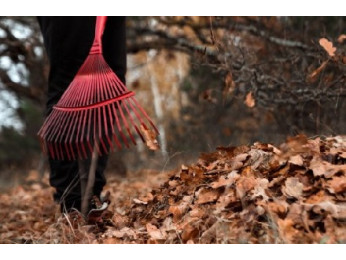 30 дел в саду, огороде и цветнике в ноябре