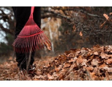 30 дел в саду, огороде и цветнике в ноябре