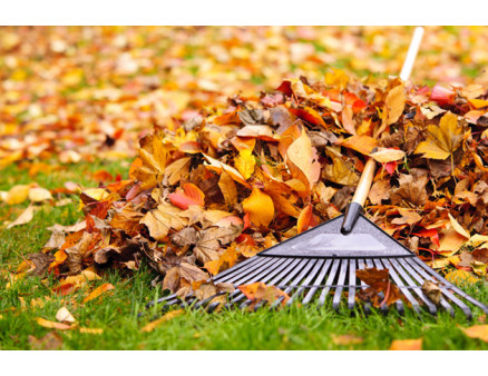 Осенние работы на участке осенью, Полезные 5 советов для садоводов Осенние работы на участке осенью, Полезные 5 советов для садоводов