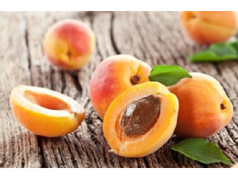 Выращивание абрикоса из косточки и сроки плодоношения