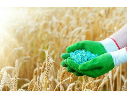 Азотные удобрения: их виды и особенности применения