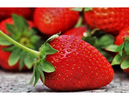 Почему клубника не сладкая, что меняет ее вкусовые качества?