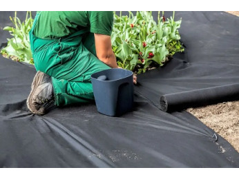Чорне агроволокно: чим привабливий матеріал для городників