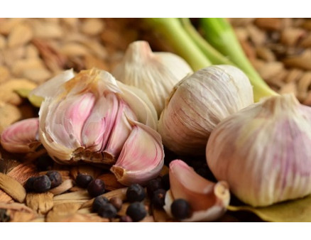 Чем подкормить чеснок в октябре? Чем подкормить чеснок в октябре?