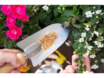 Добриво Osmocote для кімнатних рослин. Яке обрати? Які норми внесення?