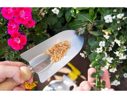 Удобрение Osmocote для комнатных растений. Как выбрать? Какие нормы внесения?