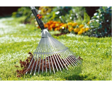 Ухаживаем за газоном весной Ухаживаем за газоном весной