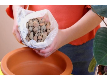 Дренаж для кімнатних рослин: використання та особливості