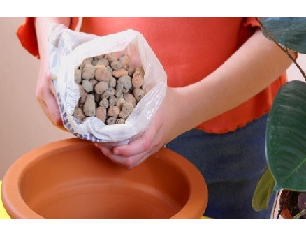 Дренаж для комнатных растений: использование и особенности Дренаж для комнатных растений: использование и особенности