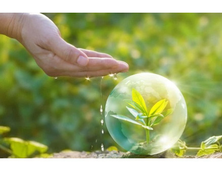 Эффективная защита овощей - гарант безопасности урожая Эффективная защита овощей - гарант безопасности урожая