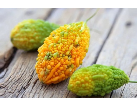 Экзотическая момордика. Как вырастить ее своими руками? Экзотическая момордика. Как вырастить ее своими руками?