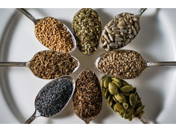 Гибриды и сортовые семена: в чем разница