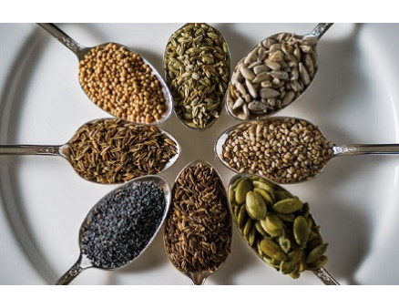 Гібриди та сортове насіння: у чому різниця Гібриди та сортове насіння: у чому різниця