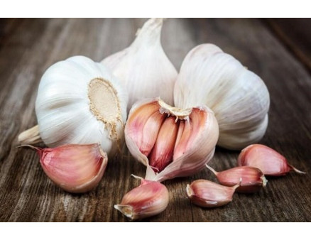 Чеснок гниет при хранении. Что делать?