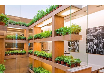 Огород в контейнерах. Его преимущества и недостатки