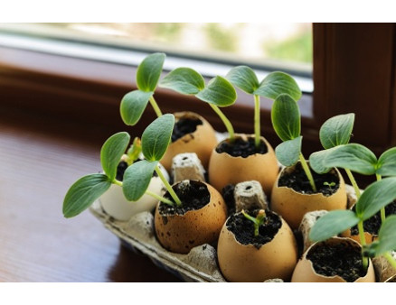 Горшочки для рассады "hand made"