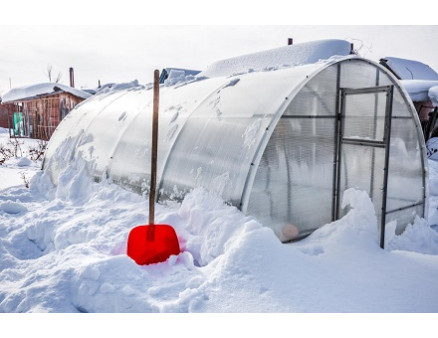 Хозяйственные работы в январе: советы для огородников и фермеров Хозяйственные работы в январе: советы для огородников и фермеров