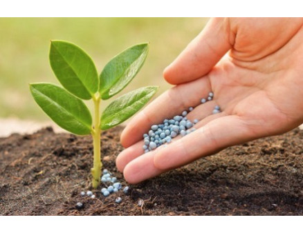 Инструкция по использованию удобрения Florovit Инструкция по использованию удобрения Florovit