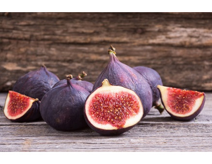 Инжир: особенности посадки и выращивания в Украине Инжир: особенности посадки и выращивания в Украине