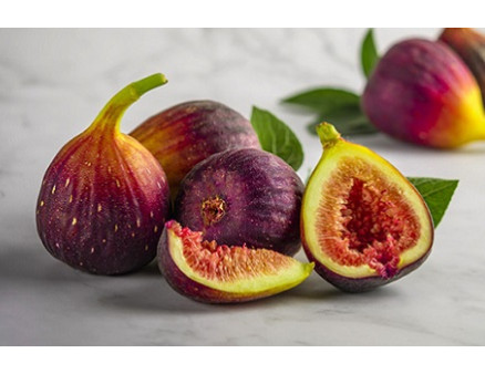 Инжир. Как вырастить в Украине? Инжир. Как вырастить в Украине?