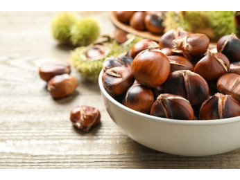 Їстівний каштан. Поради щодо вирощування та догляду