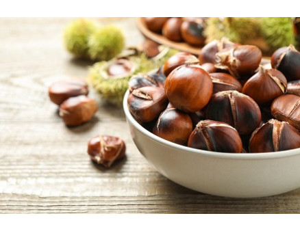 Съедобный каштан. Советы по выращиванию и уходу Съедобный каштан. Советы по выращиванию и уходу