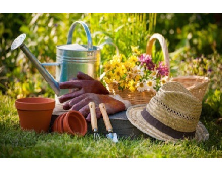 Календарь садовода: март, апрель, май. Весна на даче