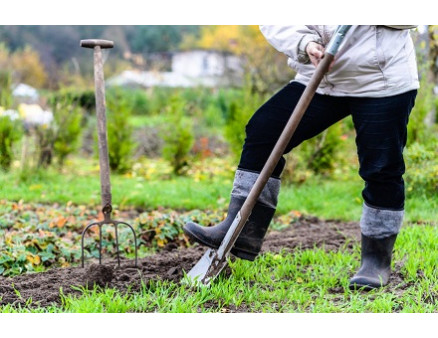 Календарь садовода на апрель