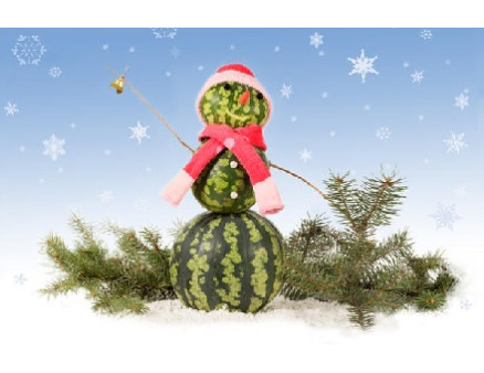 Как сохранить арбуз до Нового года: 7 способов Как сохранить арбуз до Нового года: 7 способов