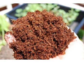 Кокосовые субстраты и их использование для выращивания растений