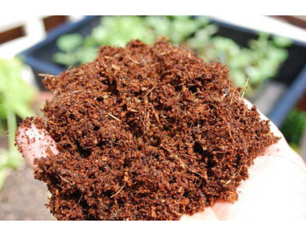 Кокосовые субстраты и их использование для выращивания растений