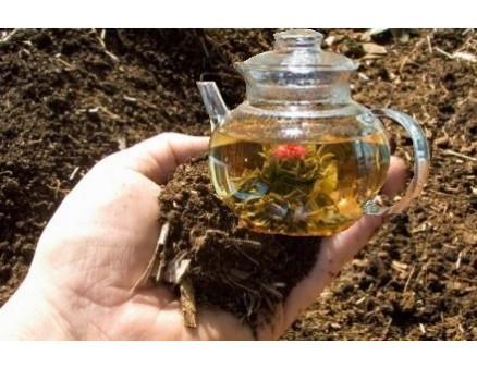 Компостный чай: что такое и как его приготовить?