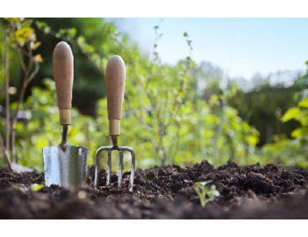 Апрельские работы в саду Апрельские работы в саду